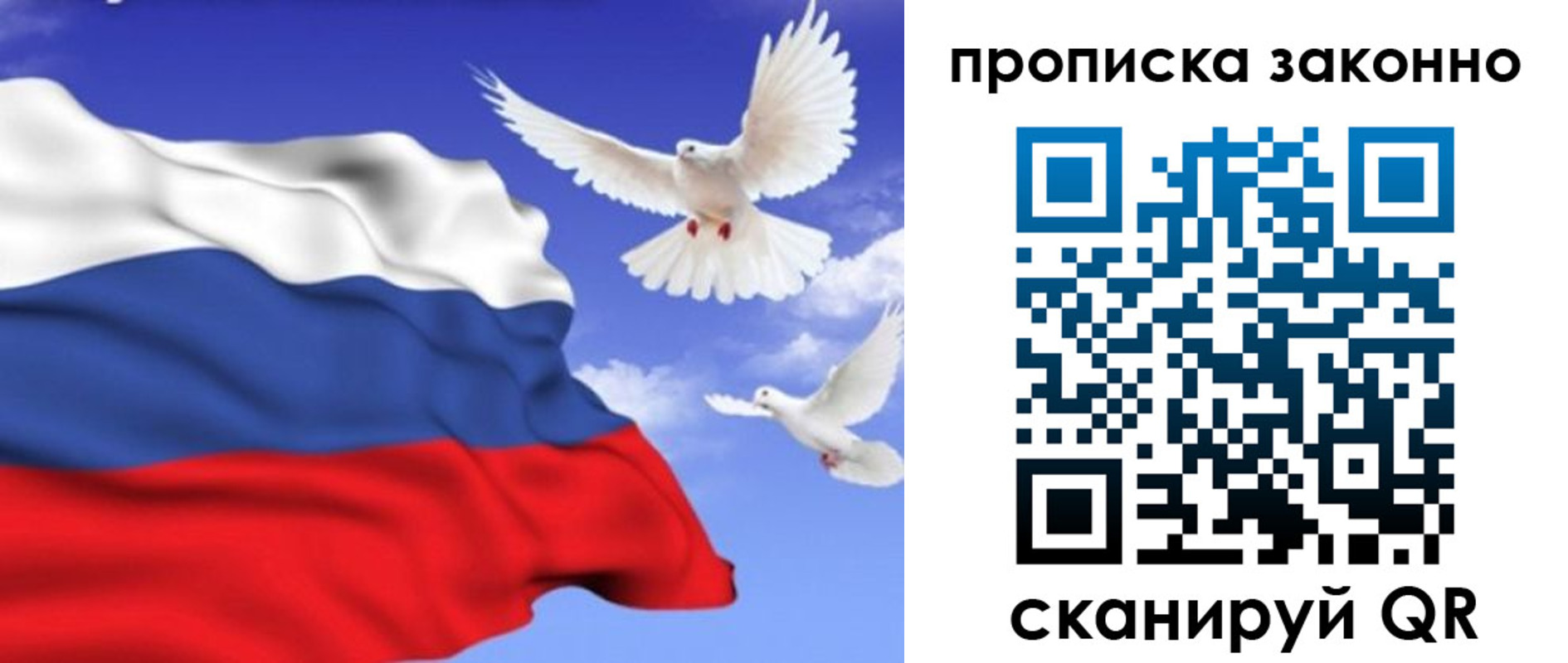 прописка в Венёве